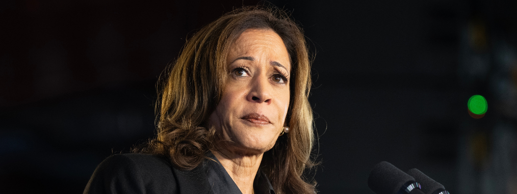 Il “commercio Harris”: come le tendenze e le strategie del mercato potrebbero essere influenzate se Harris vincesse la presidenza degli Stati Uniti 