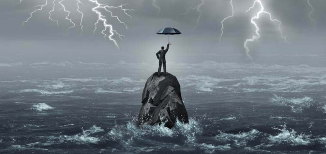 How Institutions Can Excel in the Economic Storm